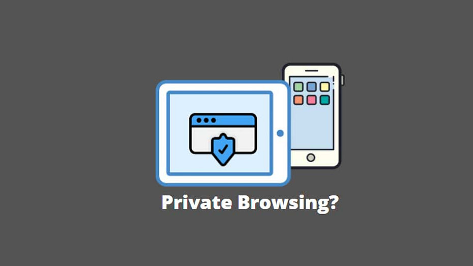 Enable and Use Private Browsing (Incognito) in Safari on iPhone/iPad